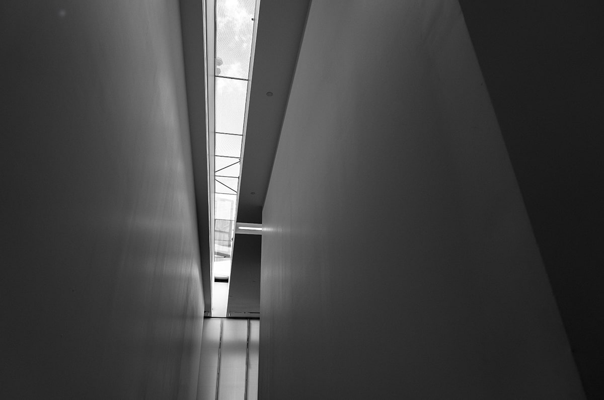 3线争冠！穆帅妙手激活全队，本菲卡藏英超豪门颤抖的密码